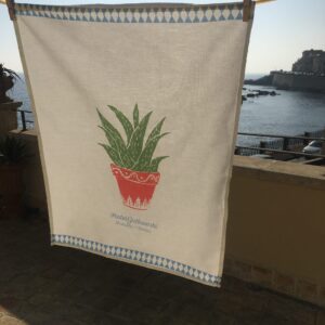 Vaso di Aloe